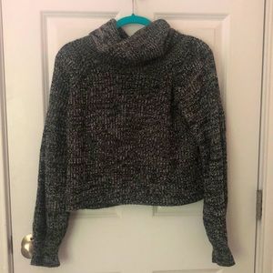 American eagle, cropped turtleneck sweater
